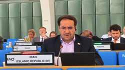 تأکید ایران بر تقویت تاب‌آوری جنگل‌های مناطق خشک
